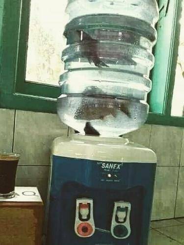 kreasi kocak dari galon bekas (instagram.com/id.dagelan)