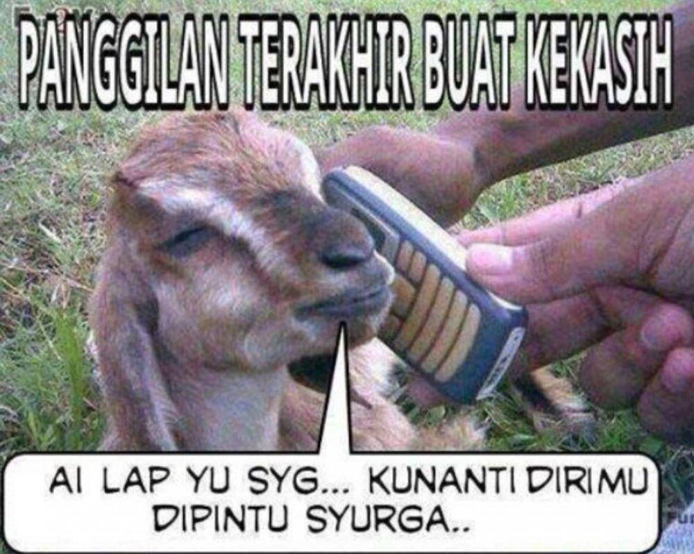 meme pesan terakhir hewan kurban (instagram.com/rumah_shitmeme.id)