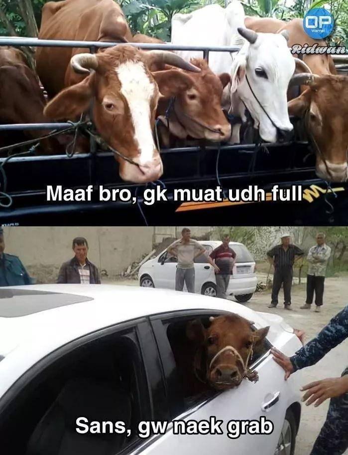 meme pesan terakhir hewan kurban (facebook.com/mohamad.k.ariefin)