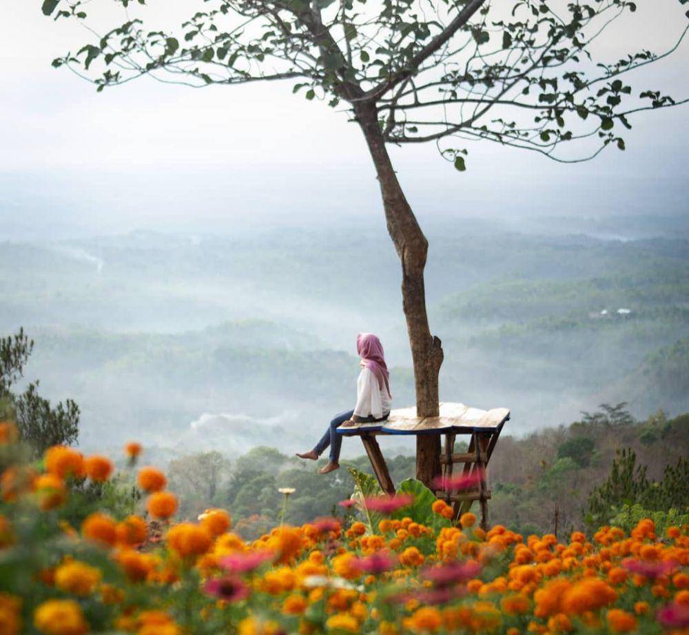 Hutan Pinus Asri (instagram.com/mita_oci)
