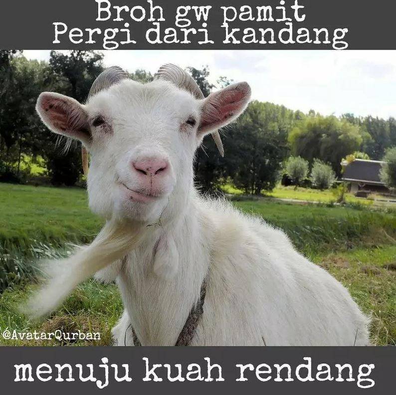 meme pesan terakhir hewan kurban (instagram.com/avatarqurban)