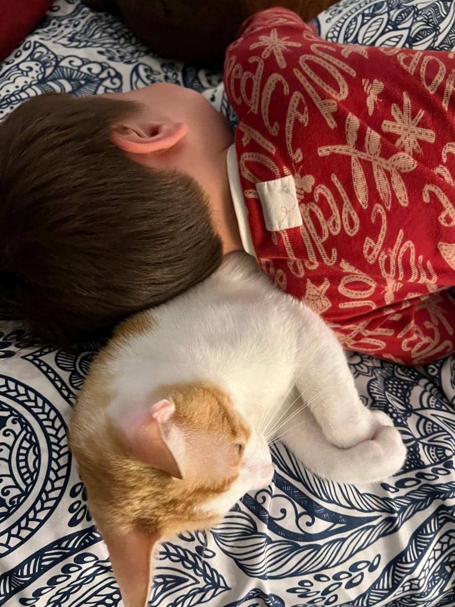 potret momen gemas (reddit.com/user/marklyon)