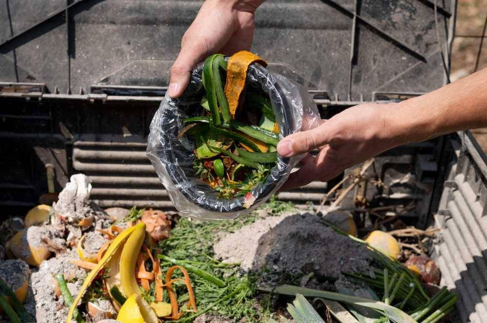 ilustrasi sampah makanan (freepik.com/Freepik)