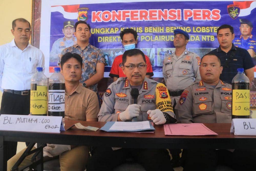 Kabid Humas Polda NTB Kombes Pol Artanto saat memberikan keterangan pers terkait pengungkapan penyelundupan belasan ribu benih lobster di Pelabuhan Lembar. (Dok. Polda NTB)