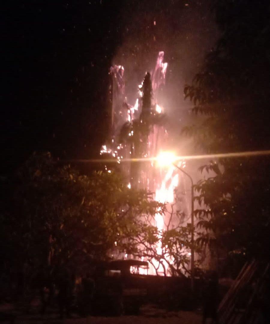 Fakta Pohon Beringin Usia 100 Tahun Terbakar di Setra Adat Sumerta