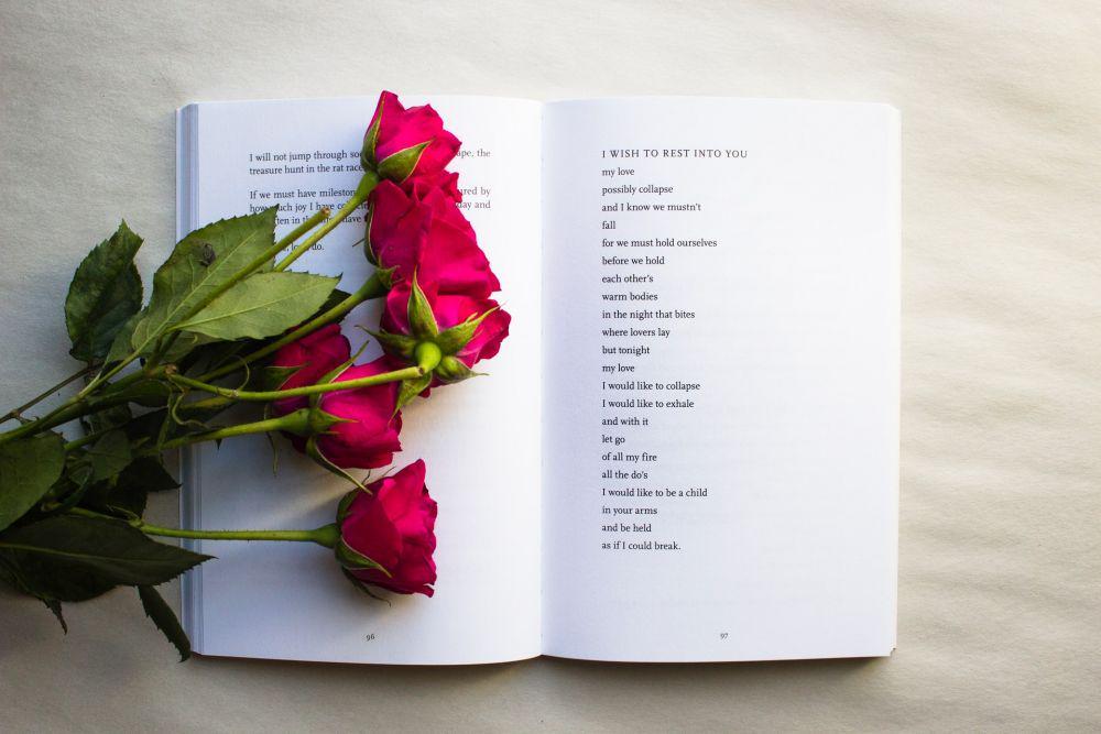 5 Pelajaran Tentang Cinta dalam Novel Sayap-Sayap Patah