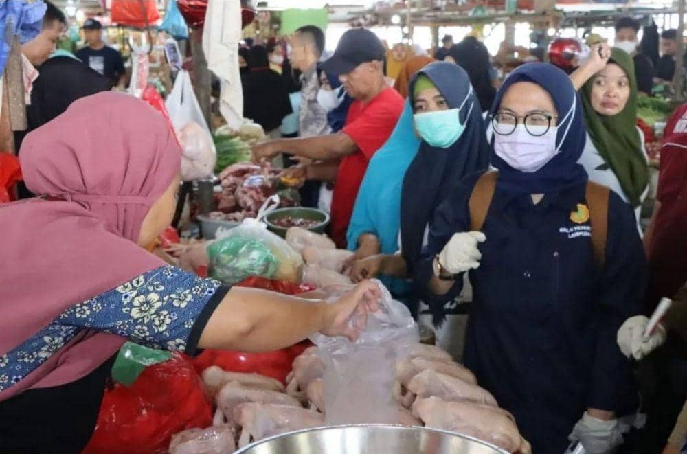 Tim Koordinasi Jejaring Keamanan Pangan Daerah Provinsi Lampung Sidak Pasar dalam rangka Pengawasan Pangan Jelang Hari Raya Idul Adha 2022. (Dok. Pemprov Lampung).