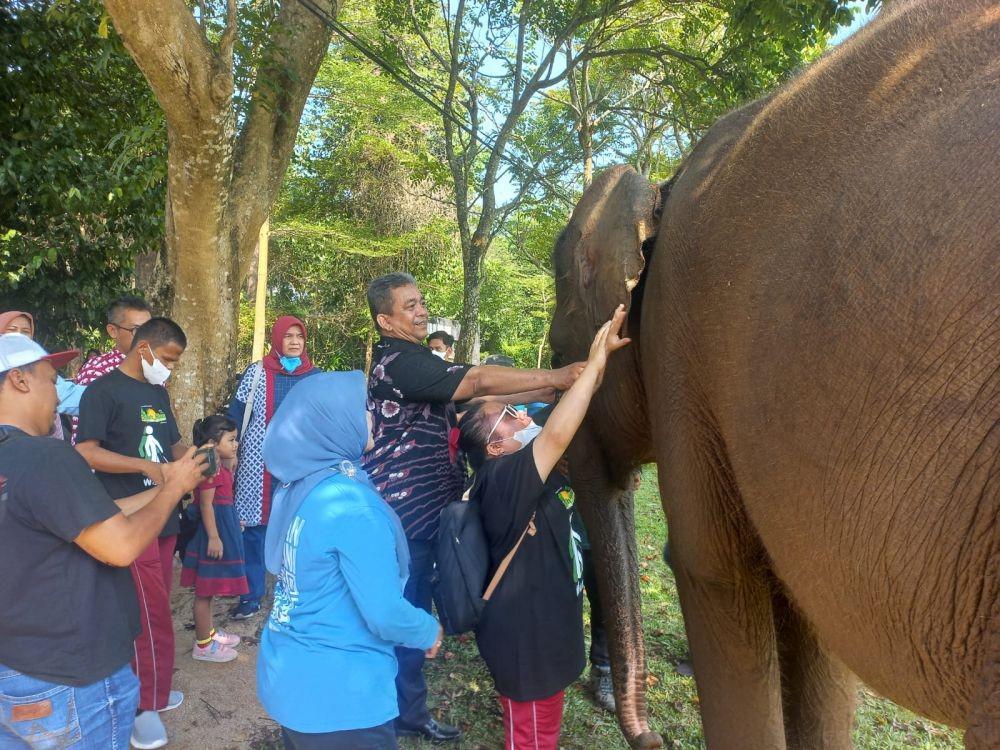 Cerita Anak Difabel Bahagia Bisa Sentuh Langsung Gajah di Lembah Hijau
