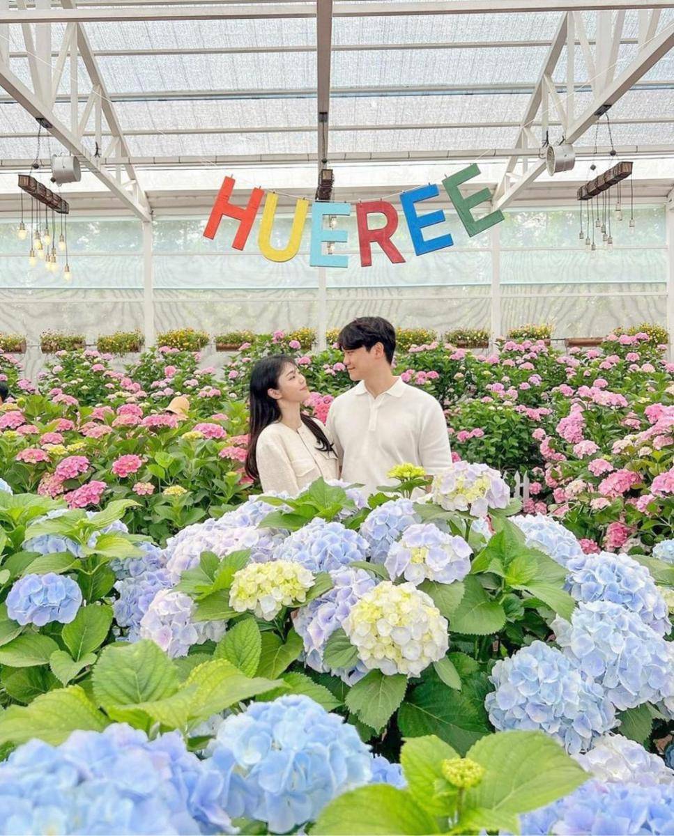 potret Hueree Summer Hdyrangea Festival (instagram.com/dodo_y__y)