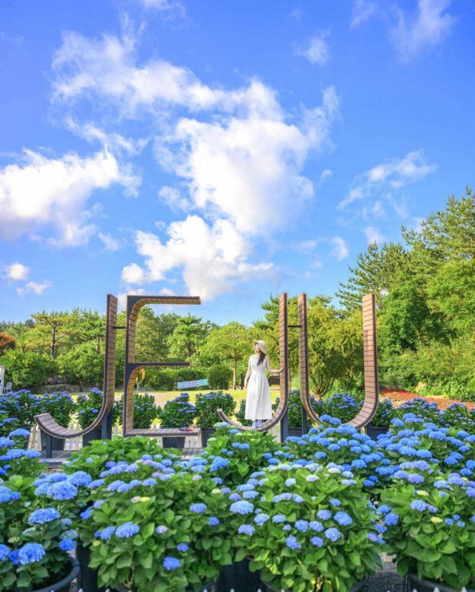 potret Hueree Summer Hdyrangea Festival (instagram.com/melody__yeon)