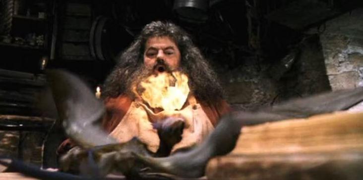Norberta (dok. Warner Bros. Pictures/Harry Potter and the Philosopher's Stone)