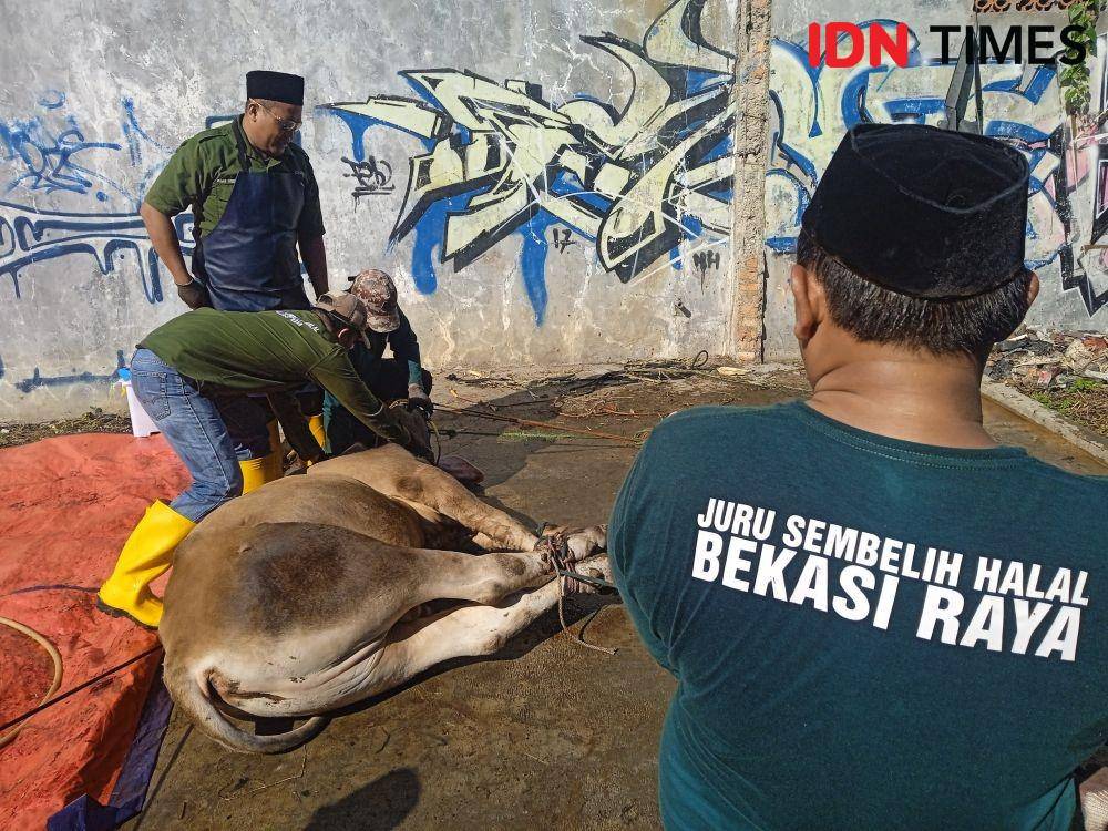 Antisipasi PMK, Masjid Agung Al-Barkah Bekasi lbatkan dokter hewan. (IDN Times/Imam Faishal)