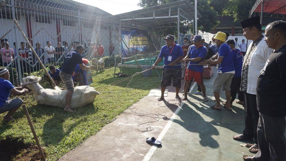 Para napi terlihat saling membantu untuk membersihkan kotoran saat penyembelihan hewan kurban. (Dok Humas Lapas Kedungpane Semarang)