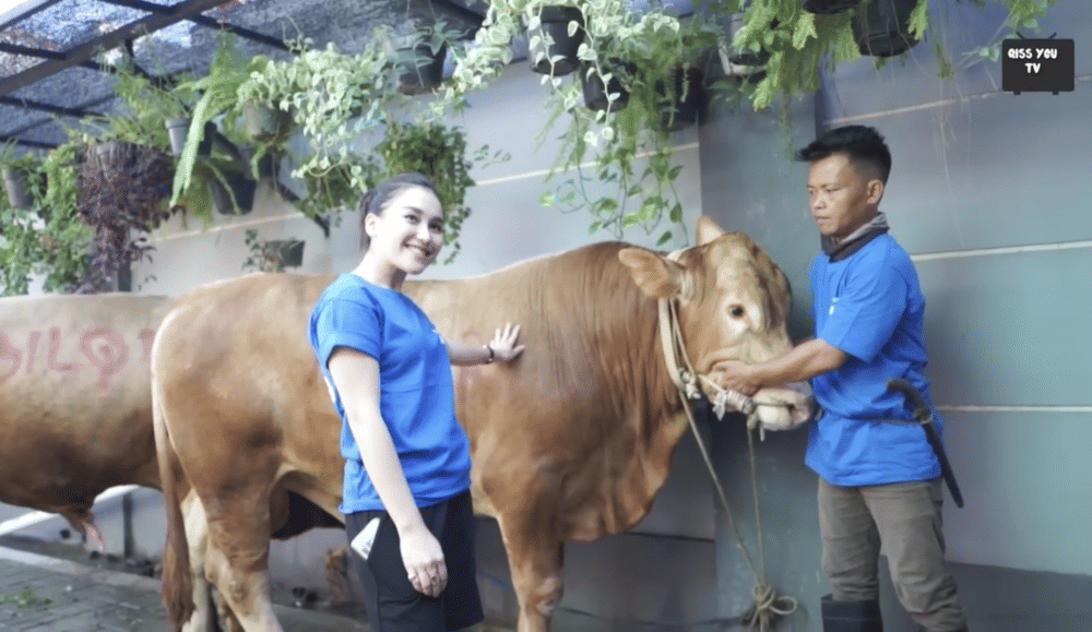 potret perpisahan Ayu Ting Ting dan kurbannya (youtube.com/qissyoutv)