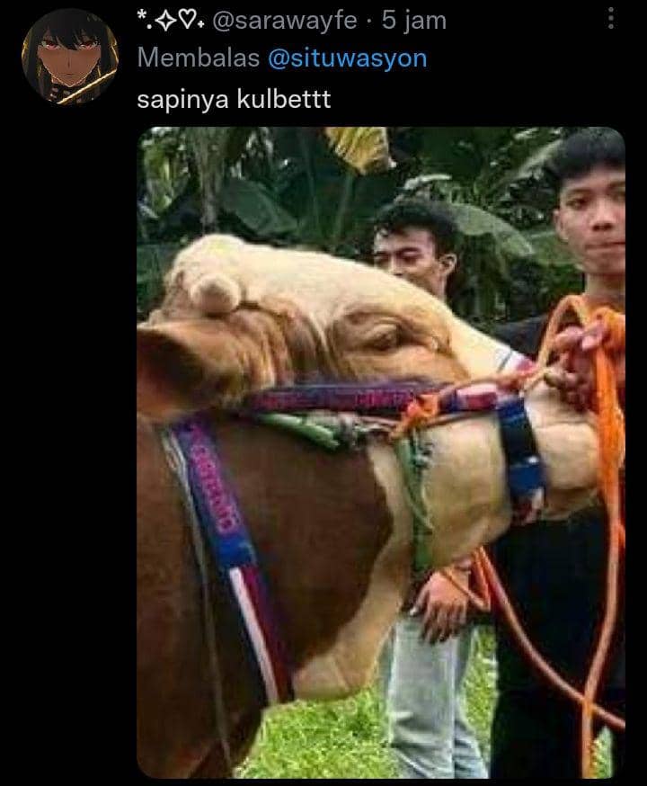 komentar lucu warganet (twitter.com/sarawayfe)