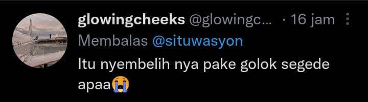 komentar lucu warganet (twitter.com/glowingcheeks1)