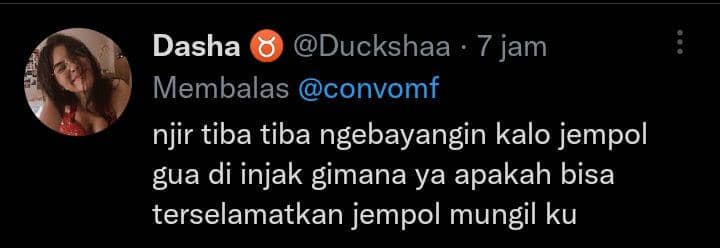 komentar lucu warganet (twitter.com/duckshaa)
