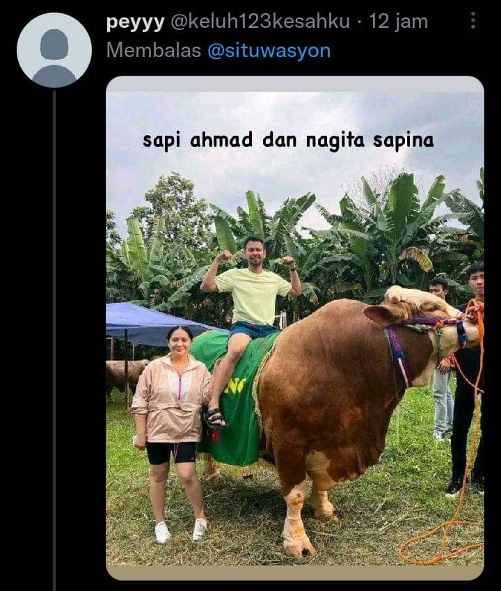 komentar lucu warganet (twitter.com/keluh123kesahku)