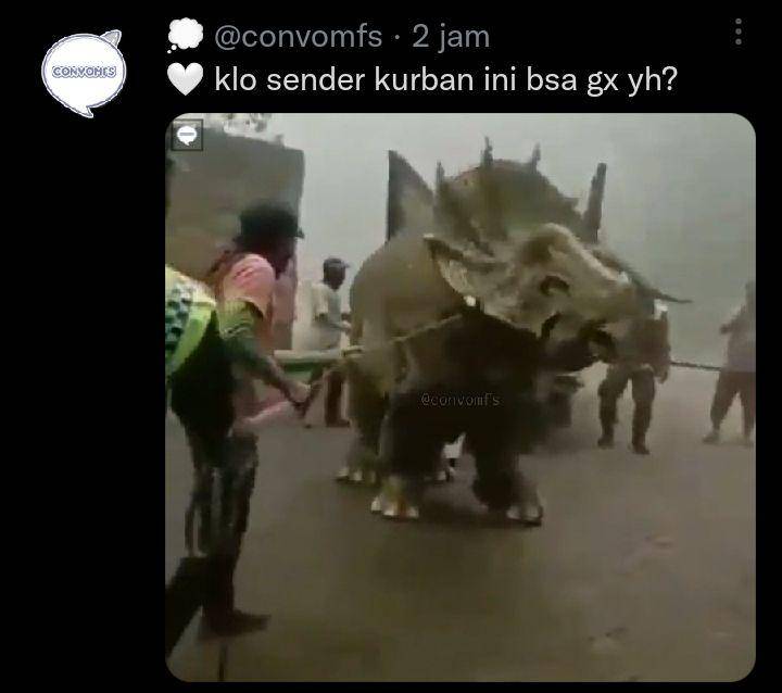 hewan kurban gak biasa (twitter.com/convomfs)