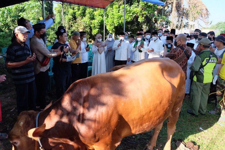 10.526 Ekor Hewan Kurban di Depok Disembelih, Nilainya Tembus Rp92,7 M
