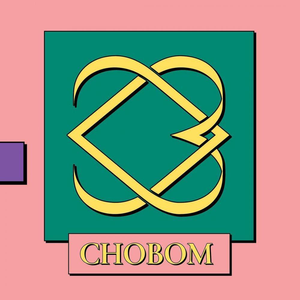 ChoBom first single album 'Copycat' (instagram.com/official.apink2011)