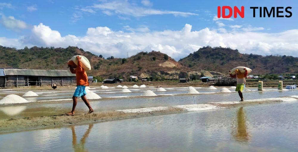 Lahan garapan produksi garam di Desa Sanolo, Kecamatan Bolo, Senin (11/7/2022). (IDN Times/Juliadin)