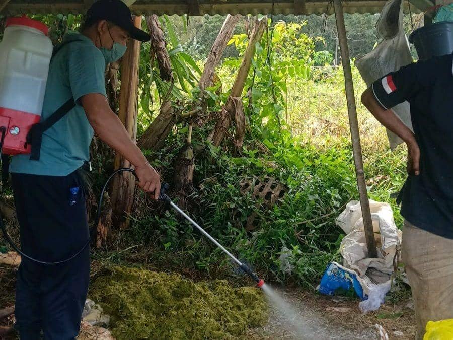 Pemotongan bersyarat ternak suspect PMK (Dok. IDN Times/Istimewa )