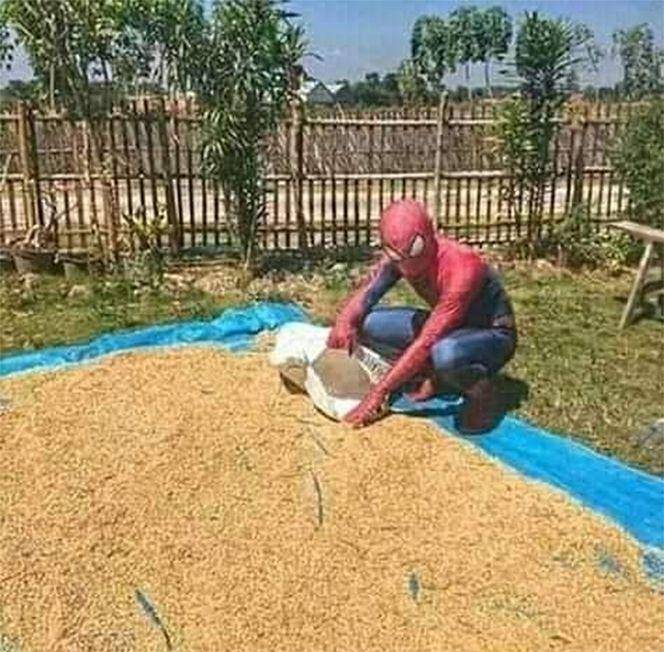 Spiderman tinggal di Indonesia (instagram.com/awreceh)