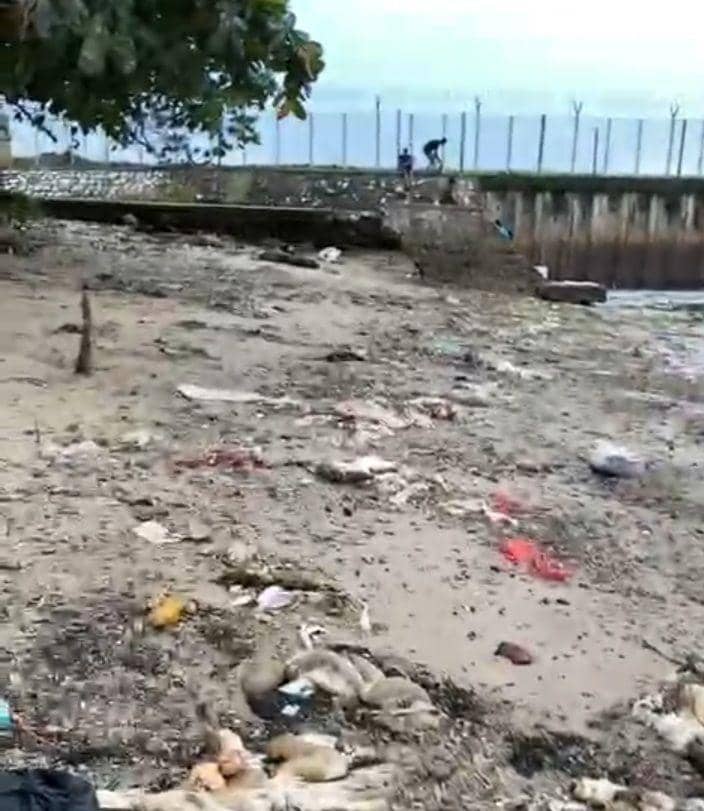 Sampah jeroan yang dibuang di tepi pantai (dok. Istimewa)