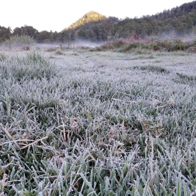 Potret embun es di Dieng (instagram.com/wisatadieng_id)