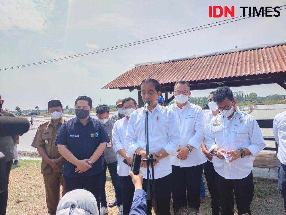 Presiden Jokowi di Balai Besar Penelitian Tanaman Padi, Subang, Jawa Barat (IDN Times/Ilman Nafian)