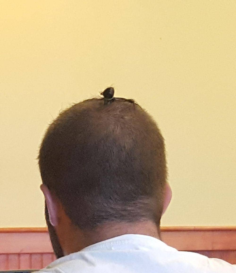 potret gaya rambut nyeleneh (reddit.com/user/Tunasaladboatcaptain)