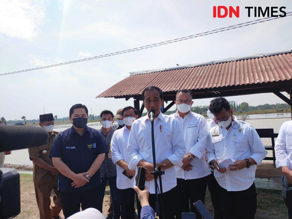 Jokowi Segera Kirim Calon Pengganti Lili Pintauli ke DPR