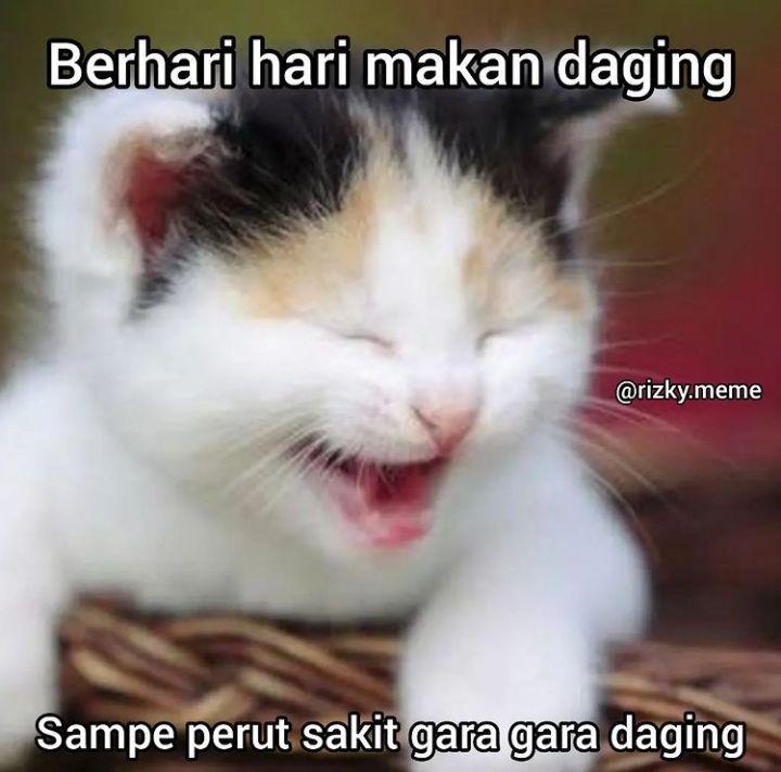 meme lucu sehabis Iduladha (instagram.com/rizky.meme)