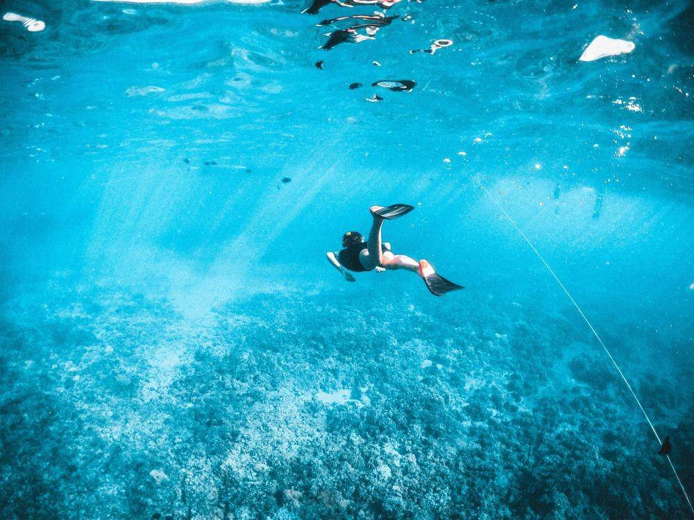 Ilustrasi diving (unsplash.com/subtlecinematics)