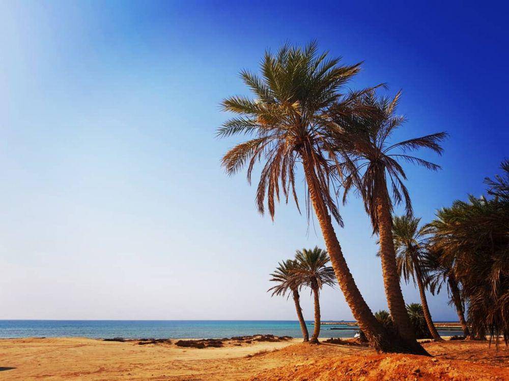 Umm Bab Beach (instagram.com/crastoa)