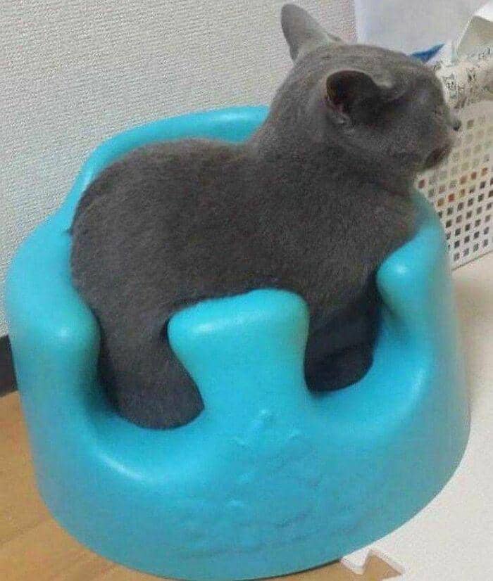 sulit dicerna logika (instagram.com/meta_visions)