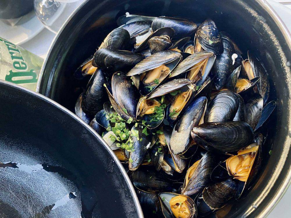 ilustrasi kerang (unsplash.com/@nikolay_smeh)