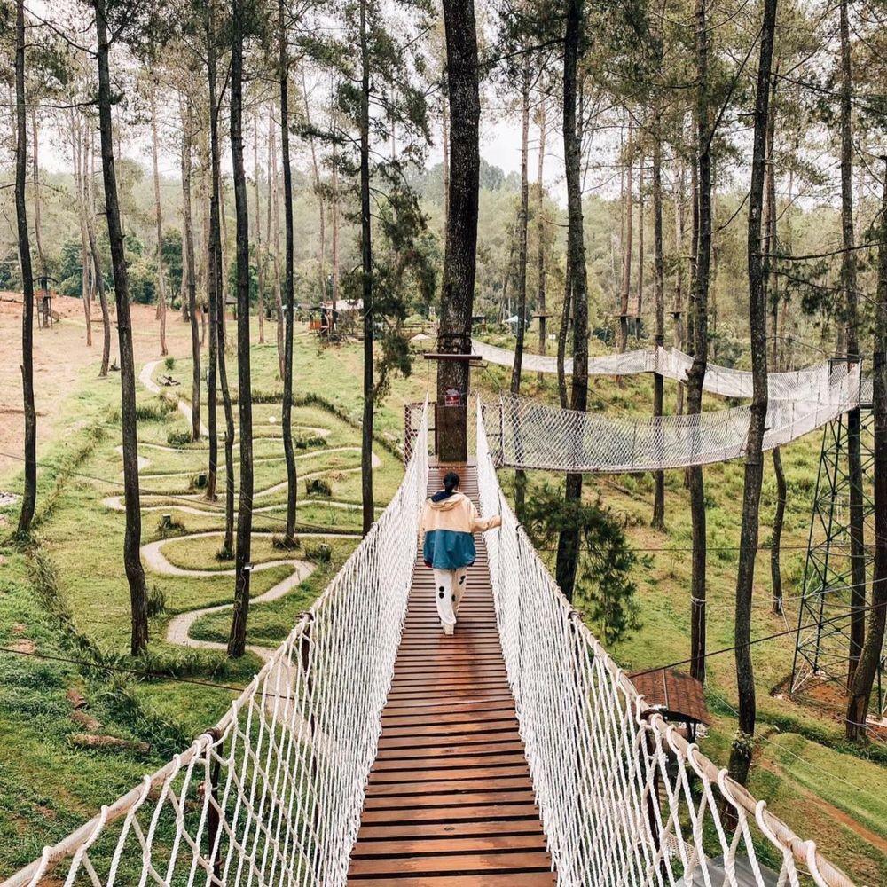 10 Hutan Wisata Paling Instagramable di Indonesia, Pernah ke Sini?