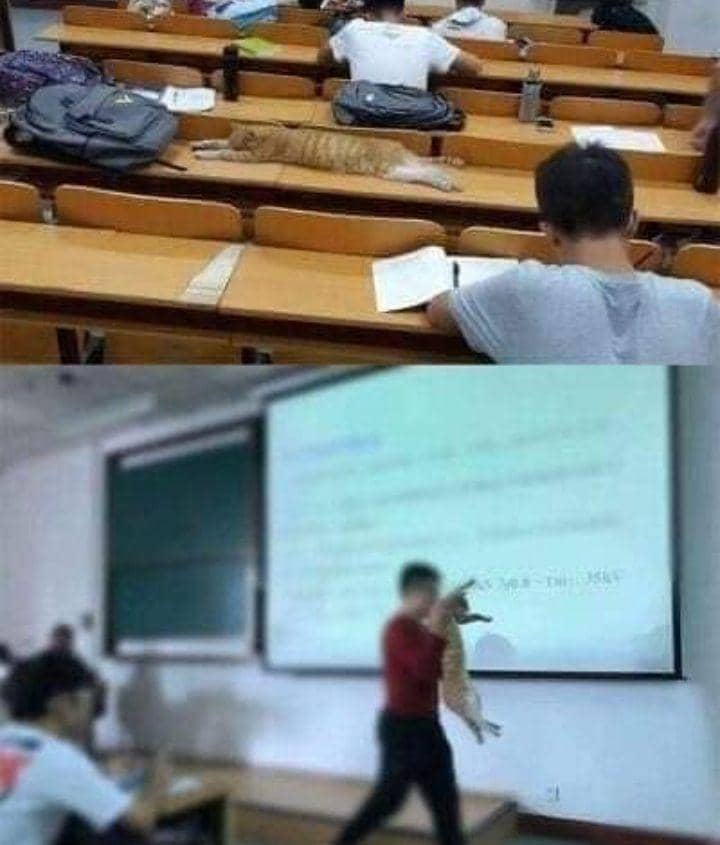 momen lucu saat presentasi di kelas (instagram.com/sukijan.id)