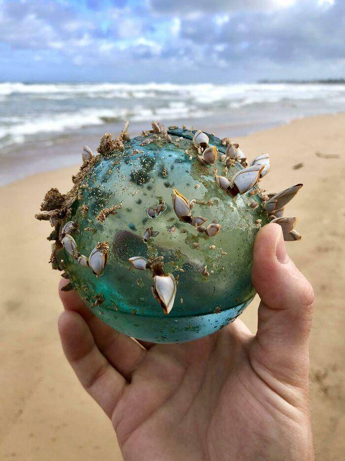 Hal aneh dan menarik di pantai. (reddit.com/Tio76)