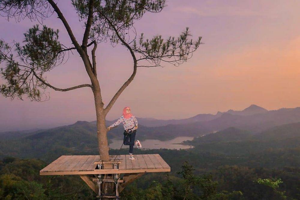 Wisata Alam Kalibiru, Yogyakarta (instagram.com/chachakocs)
