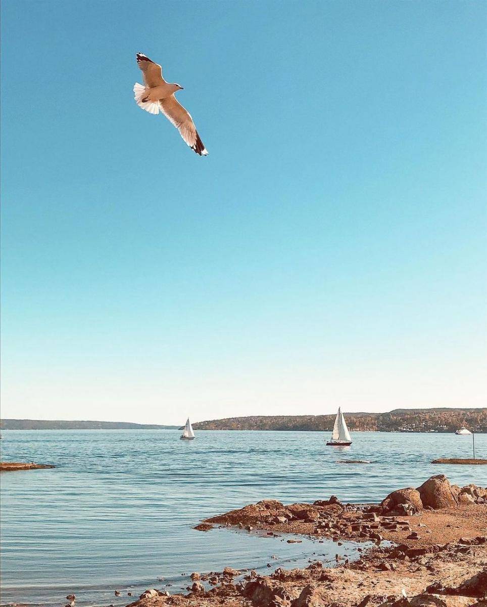 Huk Beach (instagram.com/tonjegulbaek)