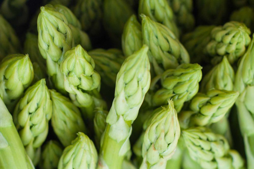 ilustrasi asparagus (pexels.com/Mali Maeder)