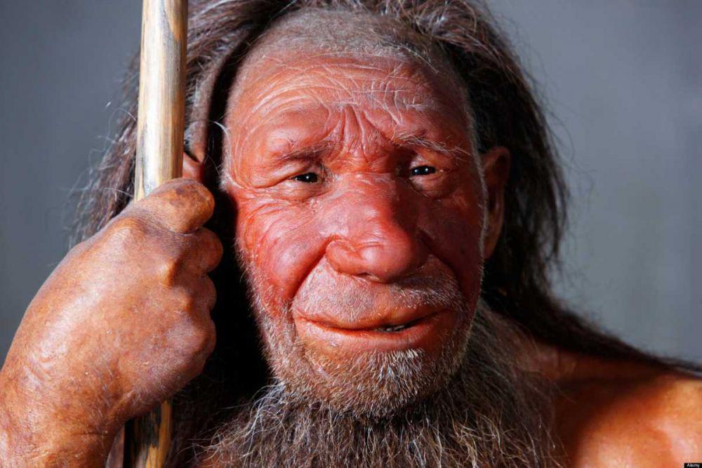 ilustrasi manusia purba Neanderthals (history.com)