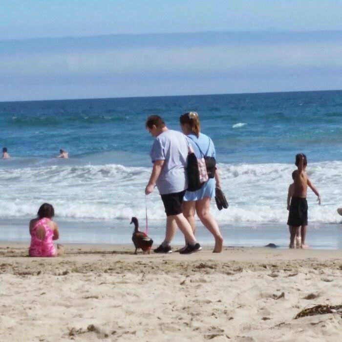 Hal aneh dan menarik di pantai. (reddit.com/Fero_Zucks)