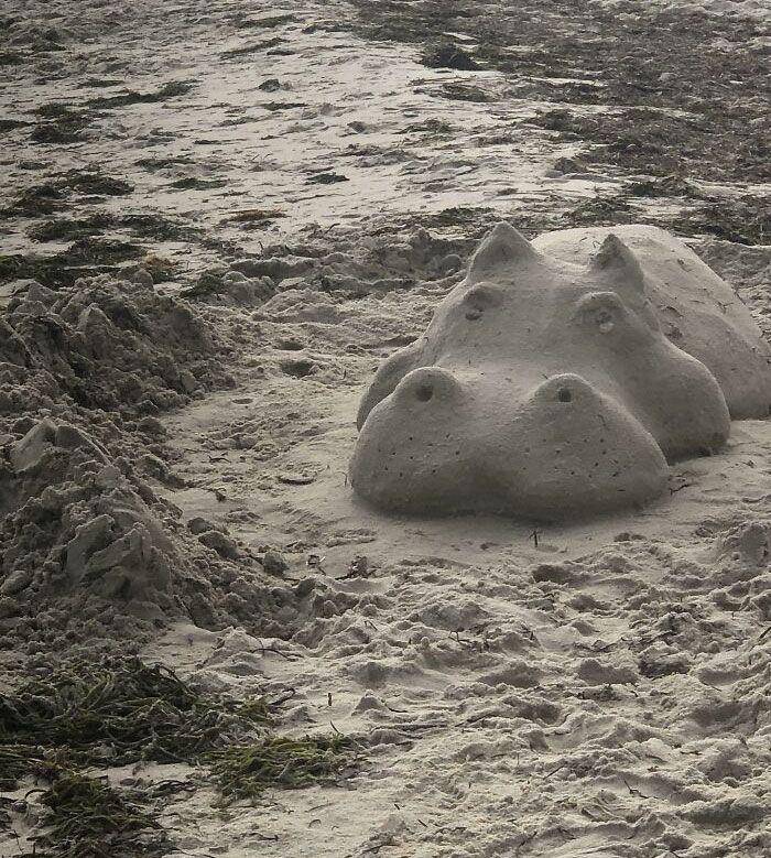 Hal aneh dan menarik di pantai. (reddit.com/Carp3l)