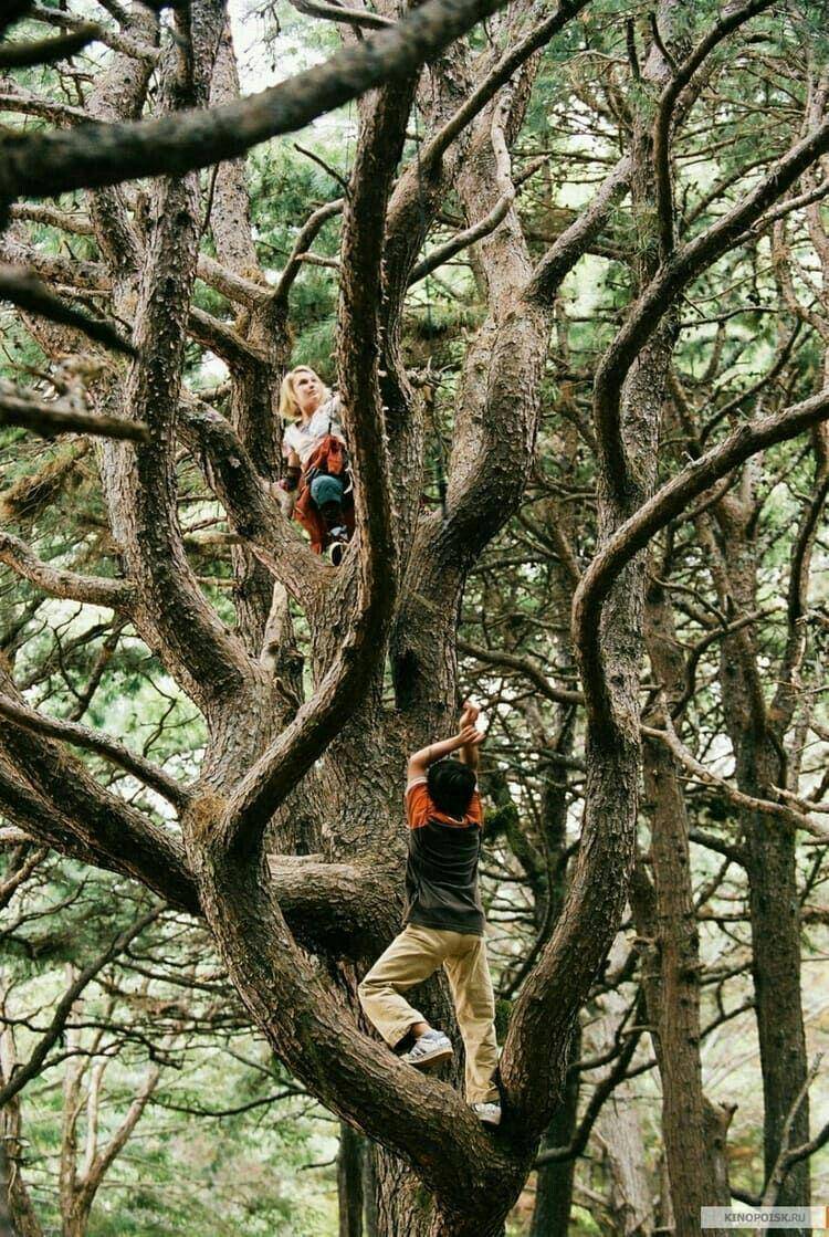 Berimajinasi (dok. Walden Media/Bridge to Terabithia)