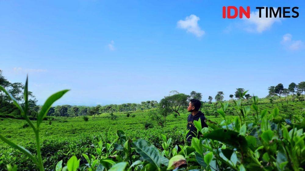 Wisata Bukit Kuneer (Dok. Pribadi/Fatma Roisatin )