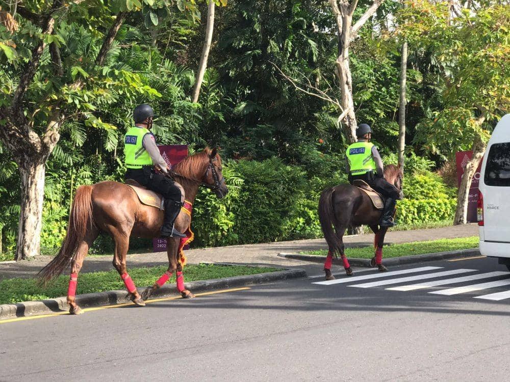 Tim berkuda (K9) untuk melaksanakan patroli di seputaran kawasan BNDCC. (Dok.IDN Times/Polda Bali)